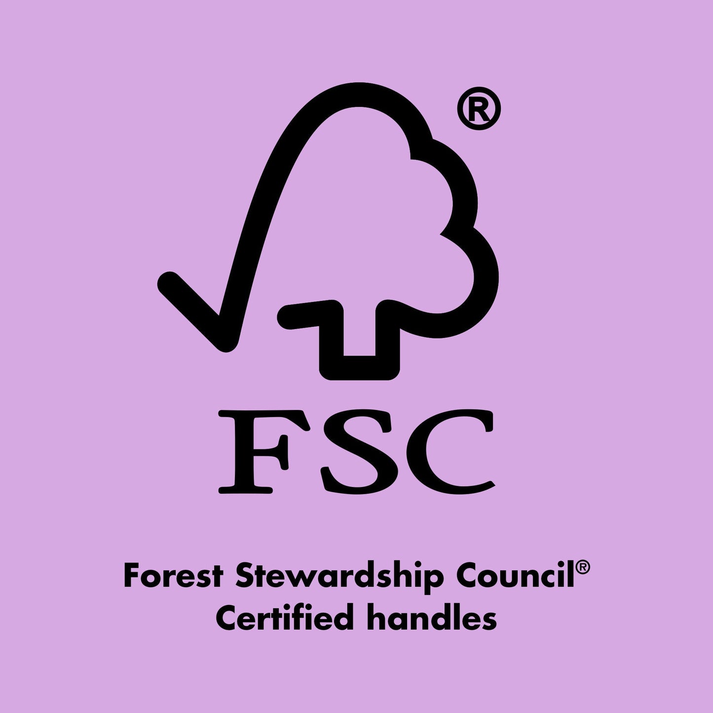 ten-out-of-ten-brush-kit-h2 0423_EDUCATION_FSC_EVERGREEN.jpg