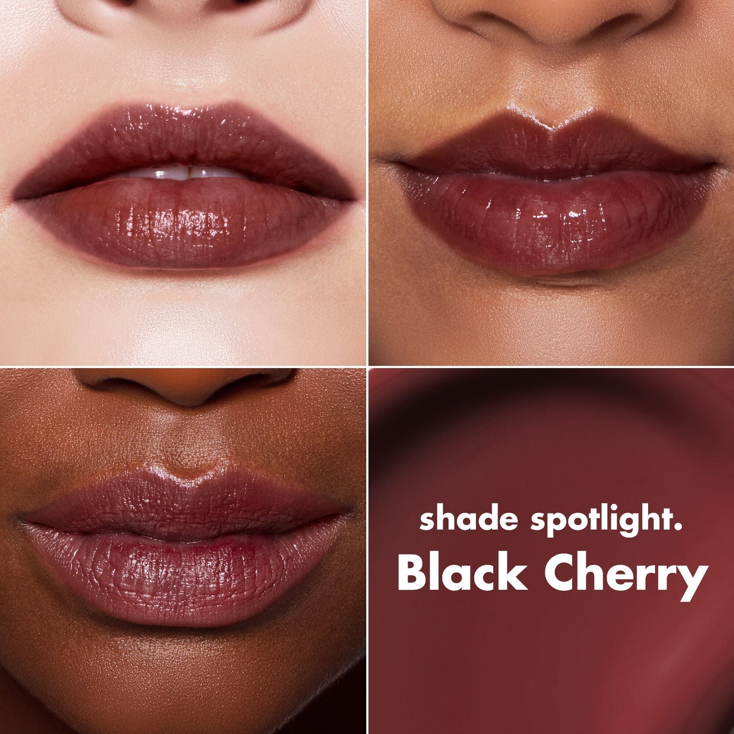lip-lacquer-f5 0426_EDU_LipLaquer_ShadeChart_BlackCherry.jpg