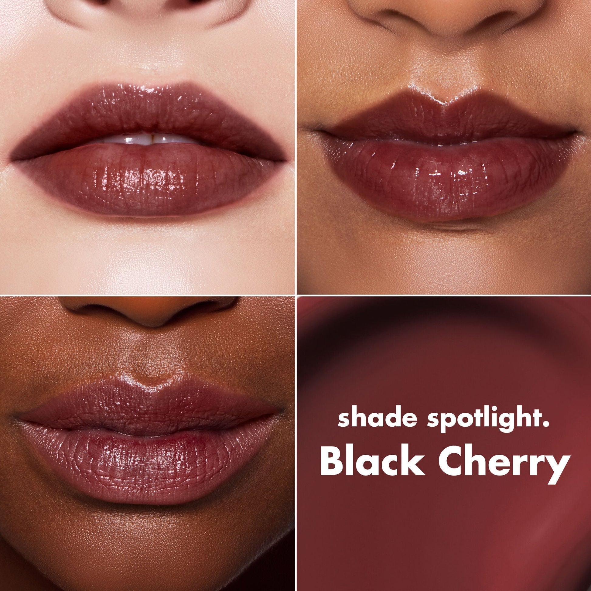 lip-lacquer-f5 0426_EDU_LipLaquer_ShadeChart_BlackCherry.jpg