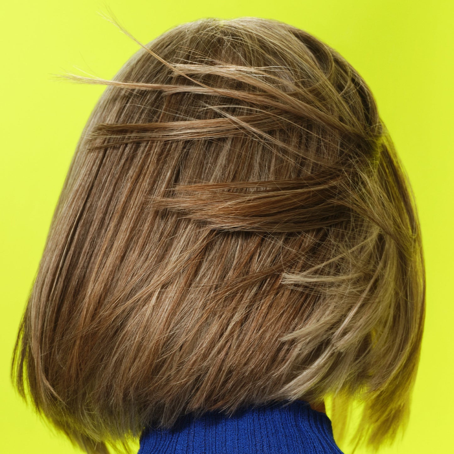 frizz-to-rizz-trio-c8 111725_Vicky_HumidityAntifrizz-Editorial_0538_w2QC_IGF_1x1_05a09617-4ccf-44a2-8545-199321a503e1.jpg