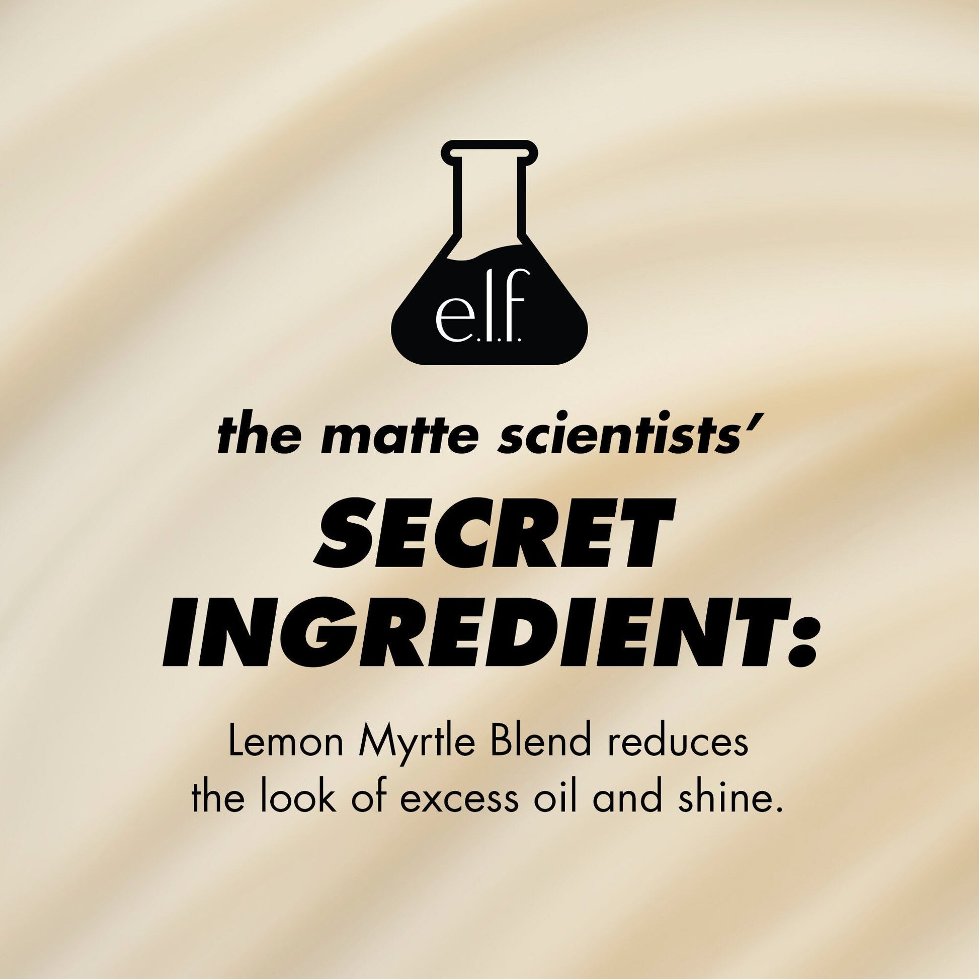 power-grip-matte-primer-t1 1224_EDUCATION_PGMATTE_INGREDIENT_b9de063f-aeb5-403f-9709-c3cafbf9c9d1.jpg